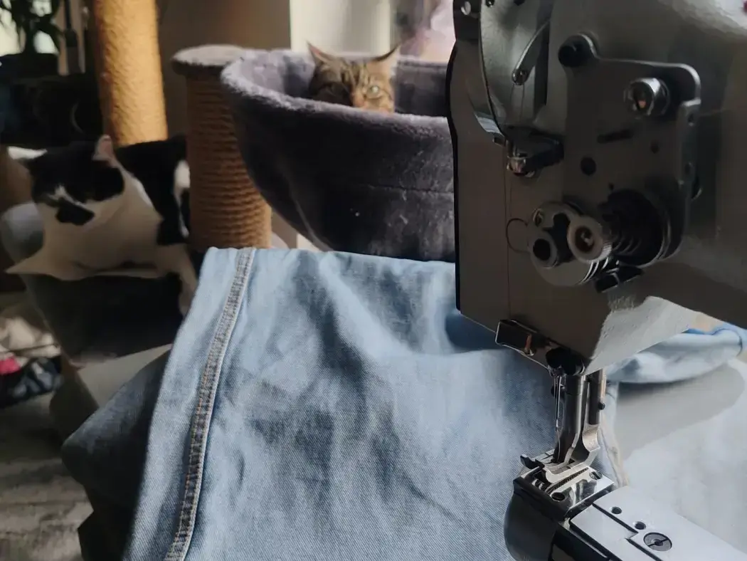 Machine à coudre canon au premier plan, et les deux chats de Marie au fond